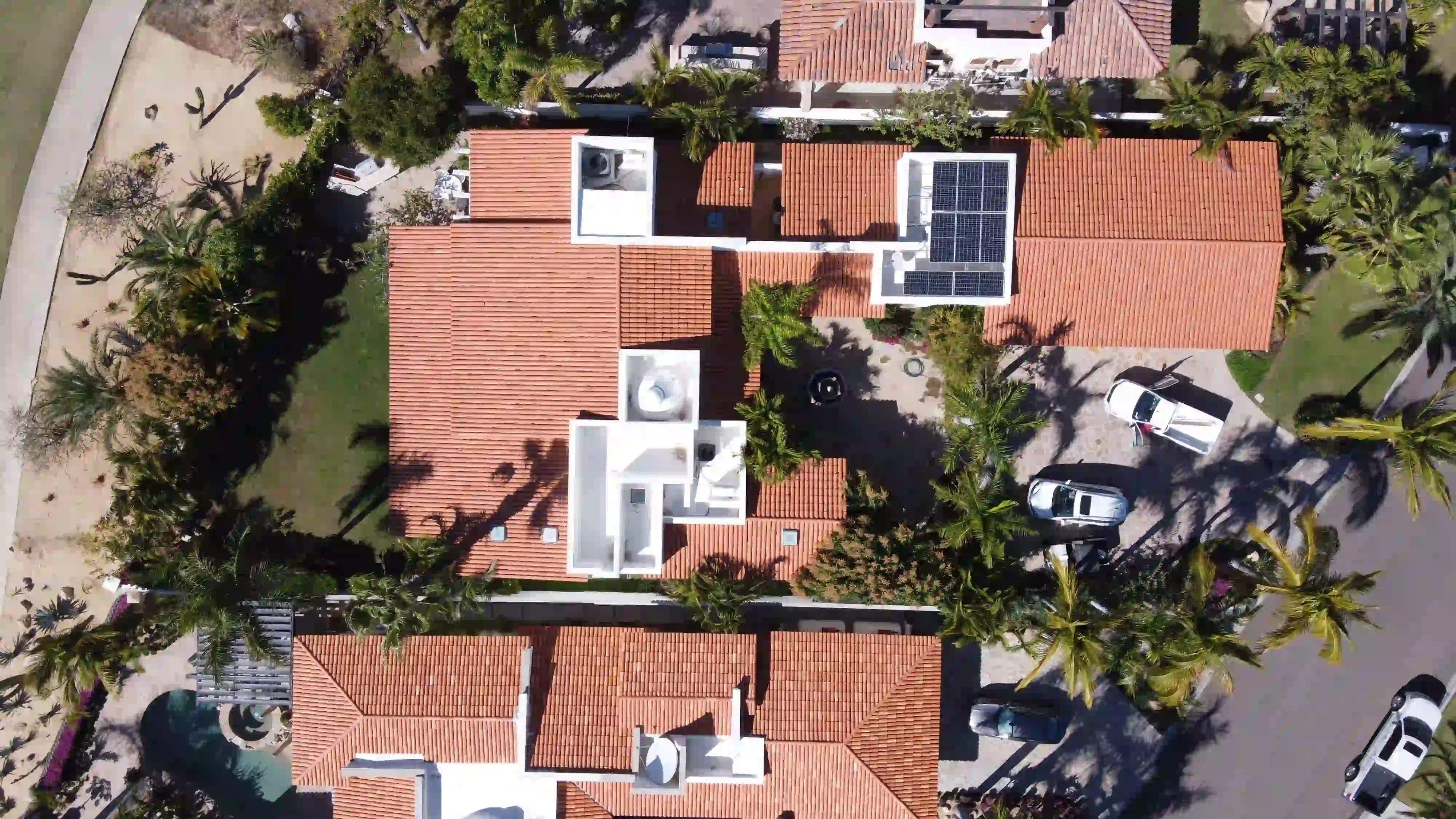 Palmilla - Galería del proyecto 13